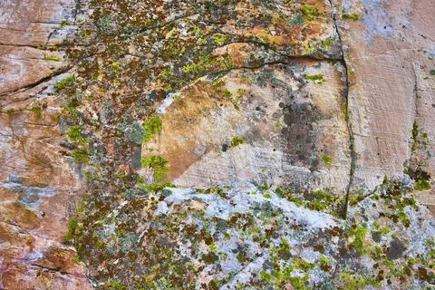 Close Up of Lichen and Moss Patterns on Colorful Desert Rock Texture Stock Photos