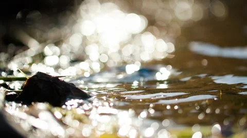 Close-up of light and shadow by the water. Stock Footage 295419731