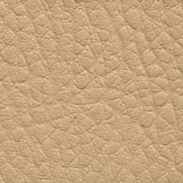 Close up of light beige natural leather texture with a pebble grain Stock Photos