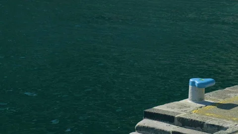 Close up of light blue pollard Stock Footage 169478048