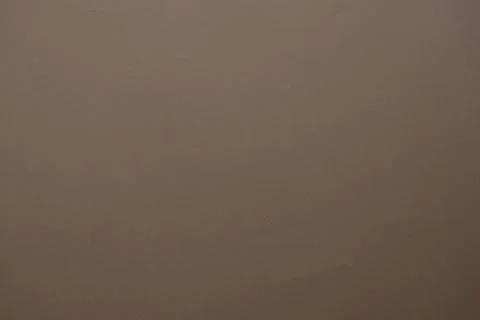 Close-up of the light brown carpet texture background in the meeting room.The Stock Photos