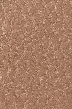 Close up of light brown natural leather texture with a prominent pebble gra.. Stock Photos