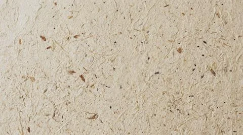 Close Up Light Brown Sandy Texture. Stock-Fotos