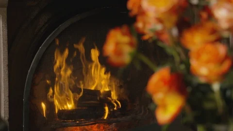 Close up of  light up fireplace with flowers inside of the house Stock Footage 143019113