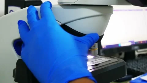 Close up light microscope footage Stock Footage 238449565