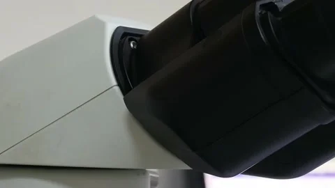 Close up light microscope footage Stock Footage 238449575
