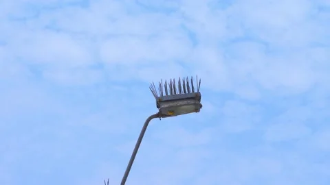 Close-up of a light pole with spikes on top so that birds do not perch on it on Video stock 194468197