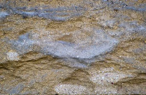 Close up of light sandstone stone texture Stock Photos