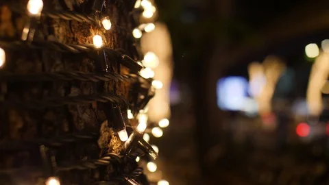 CLOSE UP Of Light String Wrapped Tight Around Tree Trunk With Gorgeous Stock Footage 100225494