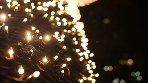 CLOSE UP Of Light String Wrapped Tight Around Tree Trunk With Beautiful Stock Footage 100225501