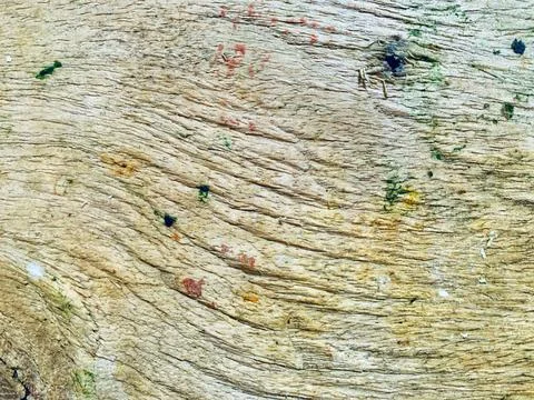 Close Up Light Wood Grain Texture with Paint Marks and Knots Stock Photos
