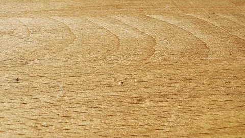Close-up of a light wooden tabletop with visible grain, circular wipe marks Stock Footage 336709702