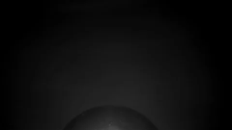 Close up of a lightbulb. Black and White 4K. Stock Footage 100656040
