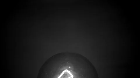 Close up of a lightbulb. Black and White 4K. Stock Footage 100656191