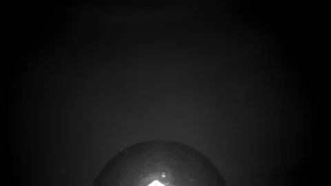 Close up of a lightbulb. Black and White 4K. Stock Footage 100656412