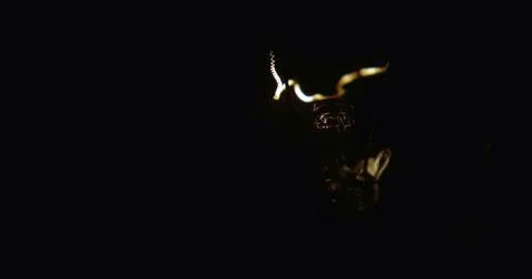 Close-up of a lightbulb on a black background. Stock Photos