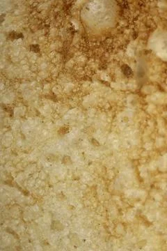 Close up of lightly toasted bread as a texture Foto stock
