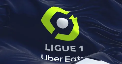 Close-up of the Ligue 1 flag waving in the wind Stock Footage 205415934