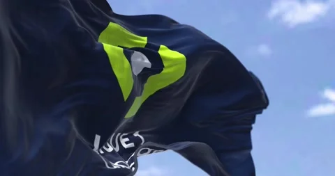 Close-up of the Ligue 1 flag waving in the wind Stock Footage 210033023