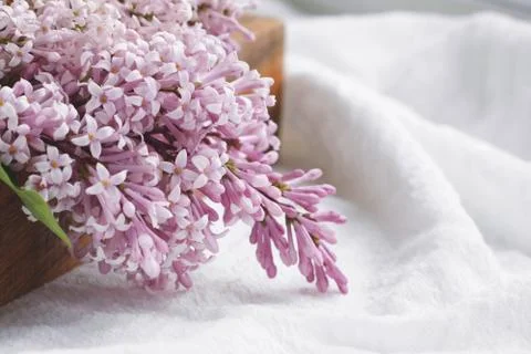 Close-up of lilac flowers on a table Stock Photos