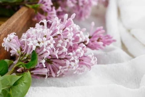 Close-up of lilac flowers on a table Stock Photos