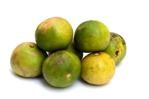 Close up of lime lemon isolated on white Stock Photos