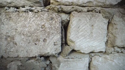 Close-up of a limestone block wall with visible shell fragments, rough ston.. Stockbeeldmateriaal 345979605