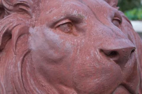 Close up of a lion statue Stock Photos