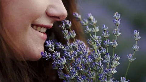 Close-up of lips and night white girl sniffs lavender, Stock Footage 178040826
