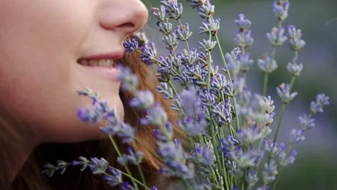 Close-up of lips and night white girl sniffs lavender flowers Stock-Footage 178041671