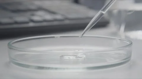 Close-up of liquid dripping from a pedropper into a petri dish Stock Footage 260896794