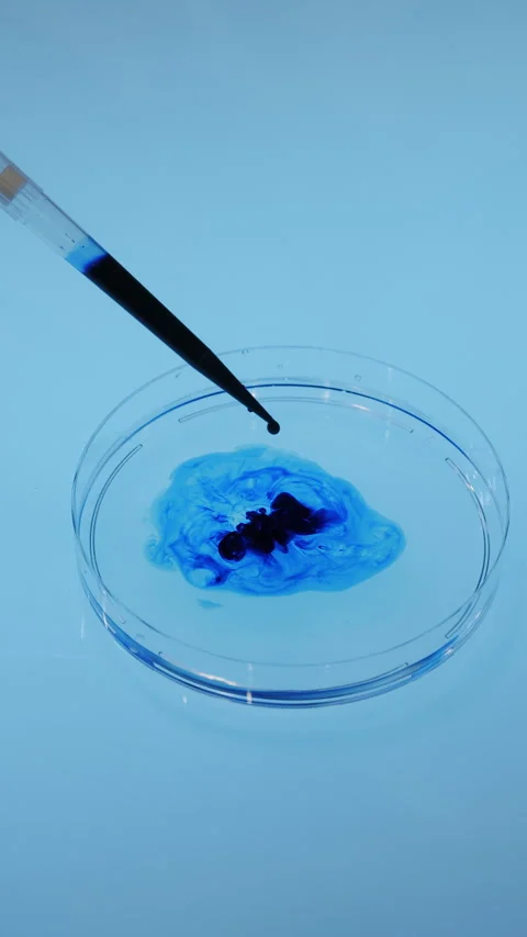 Close-up of liquid droplets falling from a pipette into a petri dish. Stock Footage 302180358