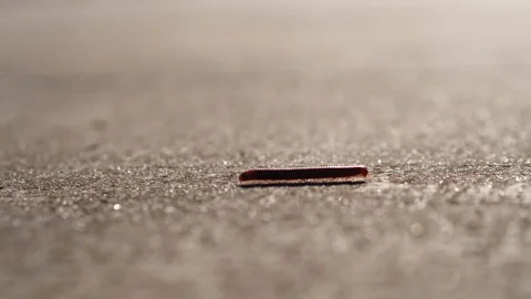 Close up a litle millipede walking on cement concrete. Stock Footage 142010199