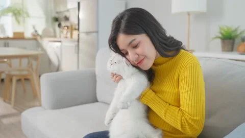 Close up of little cat lying on table while woman owner work at home. Stock Footage 170871442