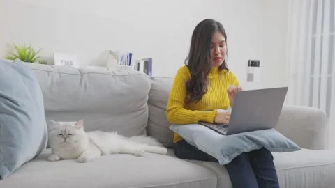 Close up of little cat lying on table while woman owner work at home. Stock Footage 170871696