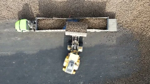 Close up of loader filling back of truck trailer with harvested sugar beets. 库存影片 157768448