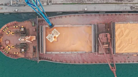 Close up Loading Corn into Cargo Hold for International Distribution. Top view Stock Footage 305038342