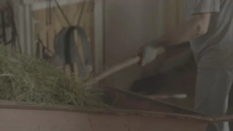 Close Up. Loading a Stable With Horse Food. Shot in 4K / V-Log Stock Footage 132797963