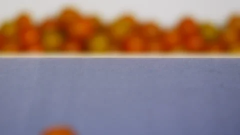 Close-Up, Lockdown, 10 Seconds Or Greater, Indoors, Day, Selective Focus, On The Stock-Footage 94020503