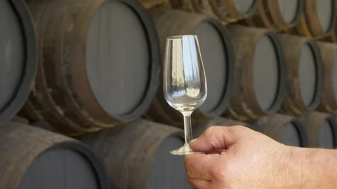 Close-Up, Lockdown, 10 Seconds Or Greater, Holding, Expertise, Wine, Wine Glass, Video stock 94022825