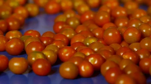 Close-Up, Lockdown, 20 Seconds Or Greater, Indoors, Day, On The Move, Selective Stock Footage 94020599
