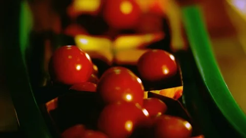 Close-Up, Lockdown, 20 Seconds Or Greater, Indoors, Day, Selective Focus, On The Stock-Footage 94021025