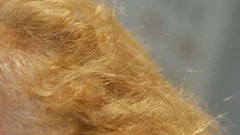 Close-Up, Lockdown, 20 Seconds Or Greater, Part Of, Human Hand, Human Head, Stock Footage 94054299