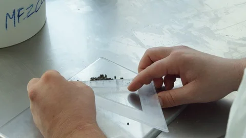 Close-Up, Lockdown, Less Than 10 Seconds, Indoors, Day, Working, Measuring, Set Stock-Footage 94096254