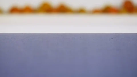 Close-Up, Lockdown, Selective Focus, 10 Seconds Or Greater, Indoors, Day, On The Stock-Footage 94020487