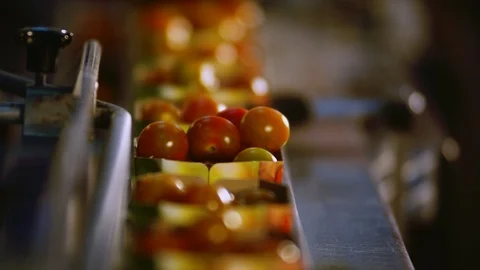 Close-Up, Lockdown, Selective Focus, 20 Seconds Or Greater, Indoors, Day, On The Stock Footage 94020893