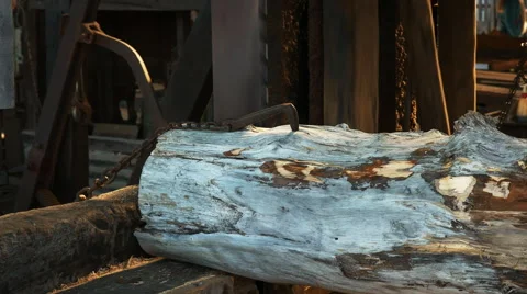 Close up of a log being cut at a historic huon pine mill in tasmania Stock Footage 64364060