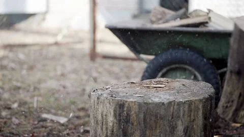 Close-up of a log on a deck that fell from a blow Stock Footage 234536261