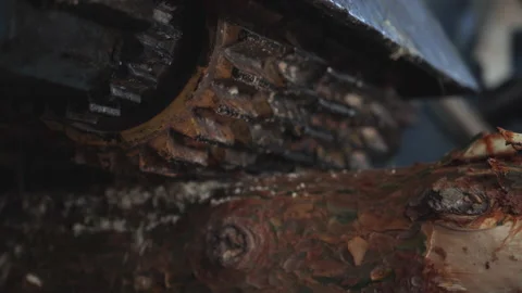 Close Up Of Log Processing Machine Producing Sawdust While Scraping Off Bark Stock Footage 162033844