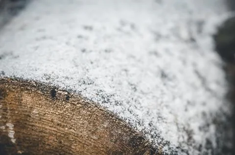 Close-up of a log under the snow. The first snow in October. The arrival of Stock Photos